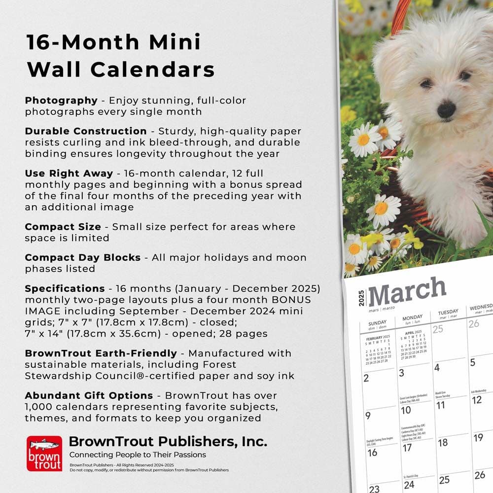 Maltese 2025 Mini Wall Calendar Fifth Alternate Image width=&quot;1000&quot; height=&quot;1000&quot;