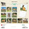 image Belgian Malinois 2025 Wall Calendar First Alternate Image width=&quot;1000&quot; height=&quot;1000&quot;