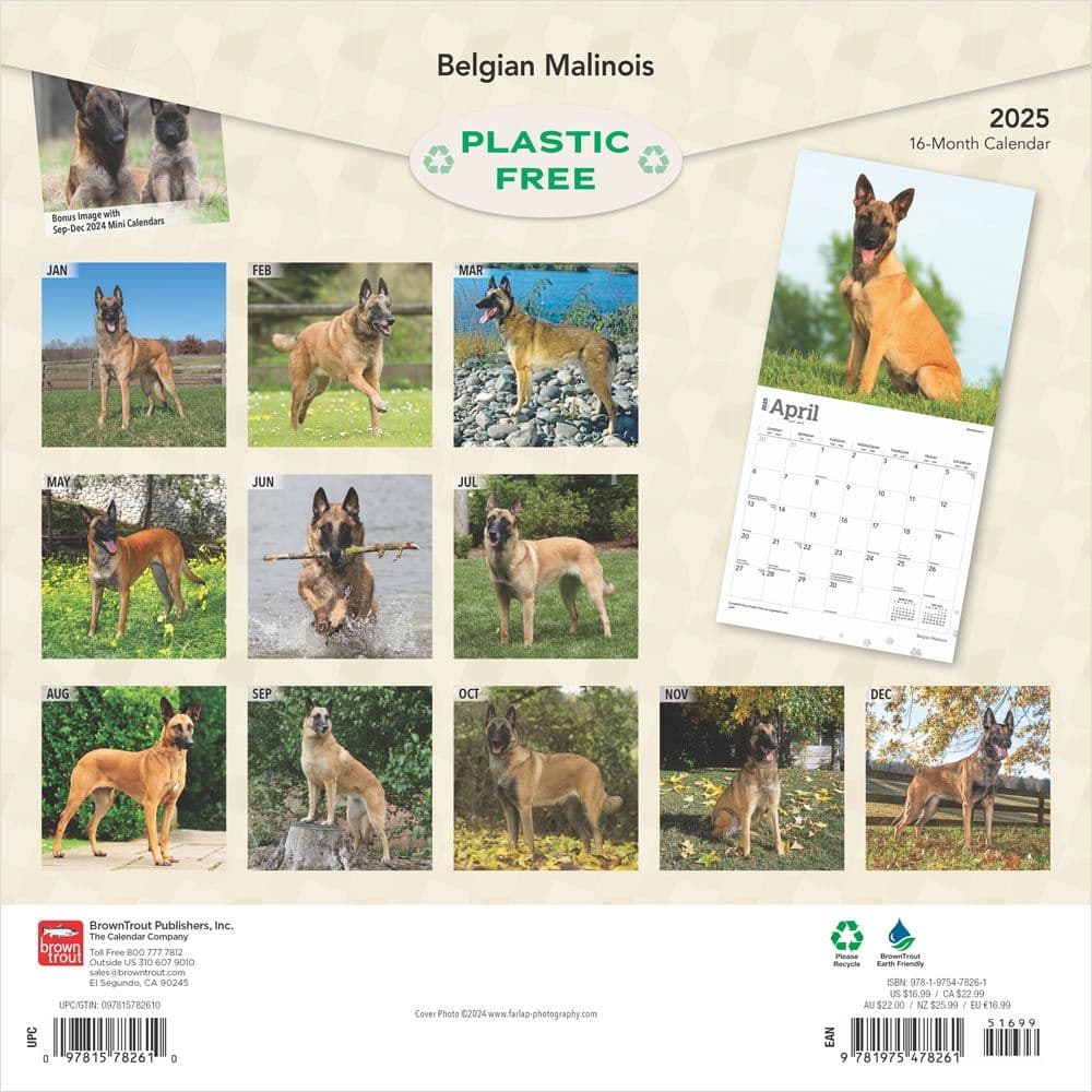 Belgian Malinois 2025 Wall Calendar First Alternate Image width=&quot;1000&quot; height=&quot;1000&quot;