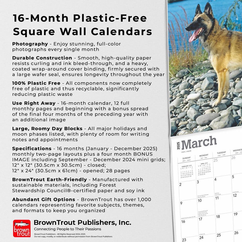 Belgian Malinois 2025 Wall Calendar Fifth Alternate Image width=&quot;1000&quot; height=&quot;1000&quot;