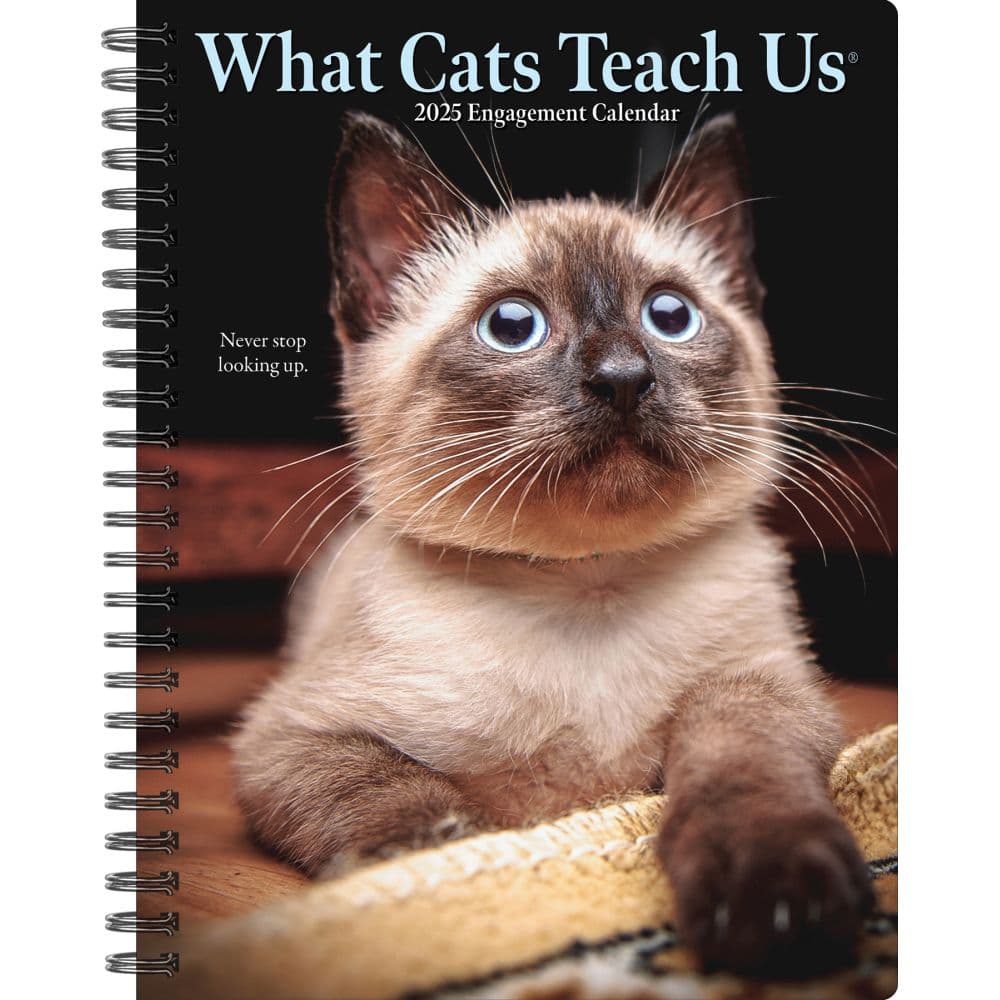 Image of What Cats Teach Us 2025 Engagement Planner