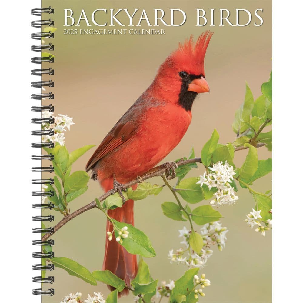 Image of Backyard Birds 2025 Engagement Planner