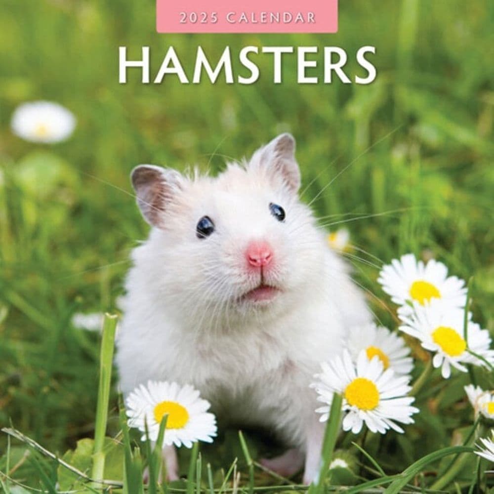 Image of Hamsters 2025 Wall Calendar