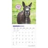 image Jackasses 2025 Wall Calendar Second Alternate Image width=&quot;1000&quot; height=&quot;1000&quot;