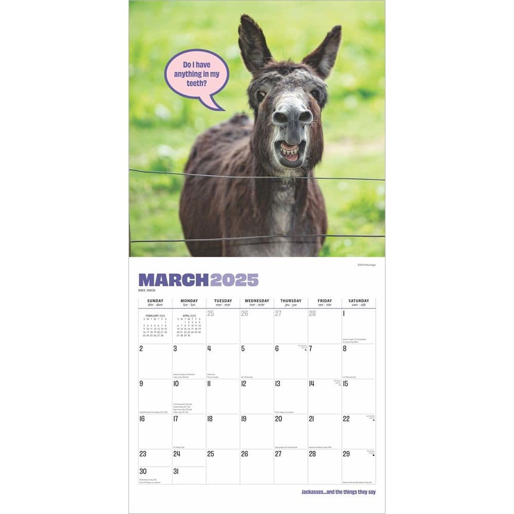 Jackasses 2025 Wall Calendar Second Alternate Image width=&quot;1000&quot; height=&quot;1000&quot;