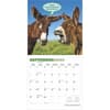 image Jackasses 2025 Wall Calendar Third Alternate Image width=&quot;1000&quot; height=&quot;1000&quot;