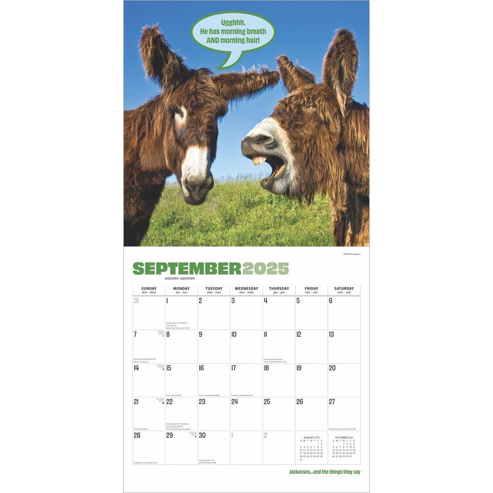 Jackasses 2025 Wall Calendar Third Alternate Image width=&quot;1000&quot; height=&quot;1000&quot;