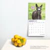 image Jackasses 2025 Wall Calendar Fourth Alternate Image width=&quot;1000&quot; height=&quot;1000&quot;