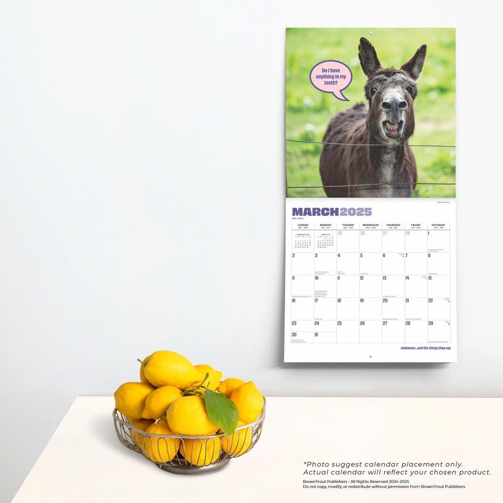 Jackasses 2025 Wall Calendar Fourth Alternate Image width=&quot;1000&quot; height=&quot;1000&quot;