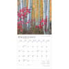 image Rocky Mountain Wilderness 2025 Wall Calendar Third Alternate Image width=&quot;1000&quot; height=&quot;1000&quot;