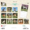 image Greyhounds 2025 Wall Calendar First Alternate Image width=&quot;1000&quot; height=&quot;1000&quot;