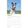 image Greyhounds 2025 Wall Calendar Second Alternate Image width=&quot;1000&quot; height=&quot;1000&quot;