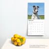 image Greyhounds 2025 Wall Calendar Fourth Alternate Image width=&quot;1000&quot; height=&quot;1000&quot;