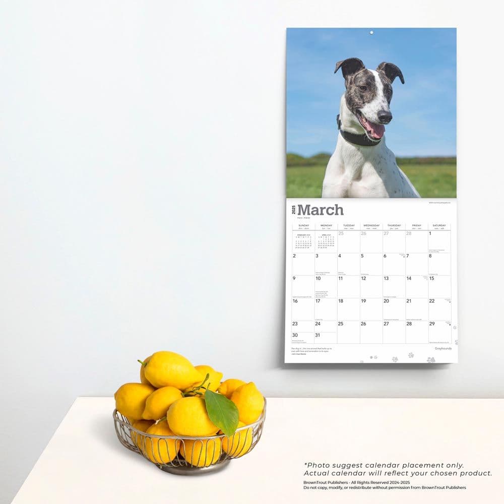 Greyhounds 2025 Wall Calendar Fourth Alternate Image width=&quot;1000&quot; height=&quot;1000&quot;