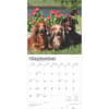 image Longhaired Dachshunds 2025 Wall Calendar Third Alternate Image width=&quot;1000&quot; height=&quot;1000&quot;