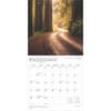 image Country Roads 2025 Wall Calendar Third Alternate Image width=&quot;1000&quot; height=&quot;1000&quot;