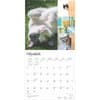 image Cat Lovers 2025 Wall Calendar Second Alternate Image width=&quot;1000&quot; height=&quot;1000&quot;