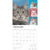 image Cat Lovers 2025 Wall Calendar Third Alternate Image width=&quot;1000&quot; height=&quot;1000&quot;