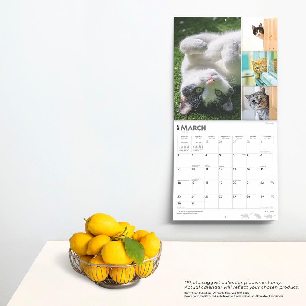 Cat Lovers 2025 Wall Calendar Fourth Alternate Image width=&quot;1000&quot; height=&quot;1000&quot;