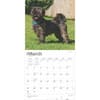 image Lhasa Apsos 2025 Wall Calendar Second Alternate Image width=&quot;1000&quot; height=&quot;1000&quot;