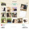 image Lab Retriever Puppies 2025 Wall Calendar First Alternate Image width=&quot;1000&quot; height=&quot;1000&quot;