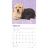 image Lab Retriever Puppies 2025 Wall Calendar Second Alternate Image width=&quot;1000&quot; height=&quot;1000&quot;