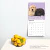 image Lab Retriever Puppies 2025 Wall Calendar Fourth Alternate Image width=&quot;1000&quot; height=&quot;1000&quot;