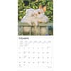 image Honey Bunny 2025 Wall Calendar Second Alternate Image width=&quot;1000&quot; height=&quot;1000&quot;