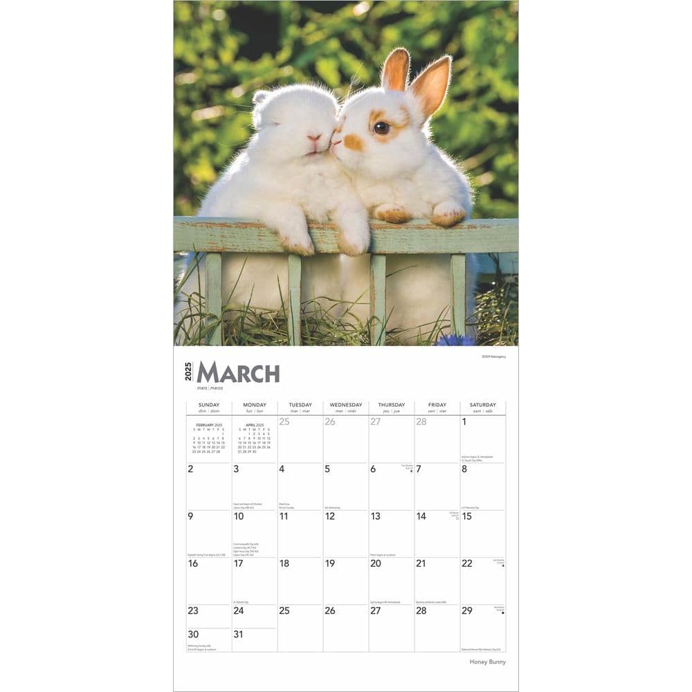 Honey Bunny 2025 Wall Calendar Second Alternate Image width=&quot;1000&quot; height=&quot;1000&quot;