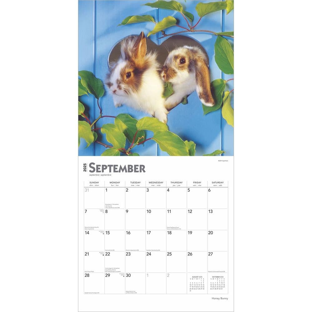 Honey Bunny 2025 Wall Calendar Third Alternate Image width=&quot;1000&quot; height=&quot;1000&quot;