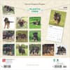 image German Shepherd Puppies 2025 Wall Calendar First Alternate Image width=&quot;1000&quot; height=&quot;1000&quot;