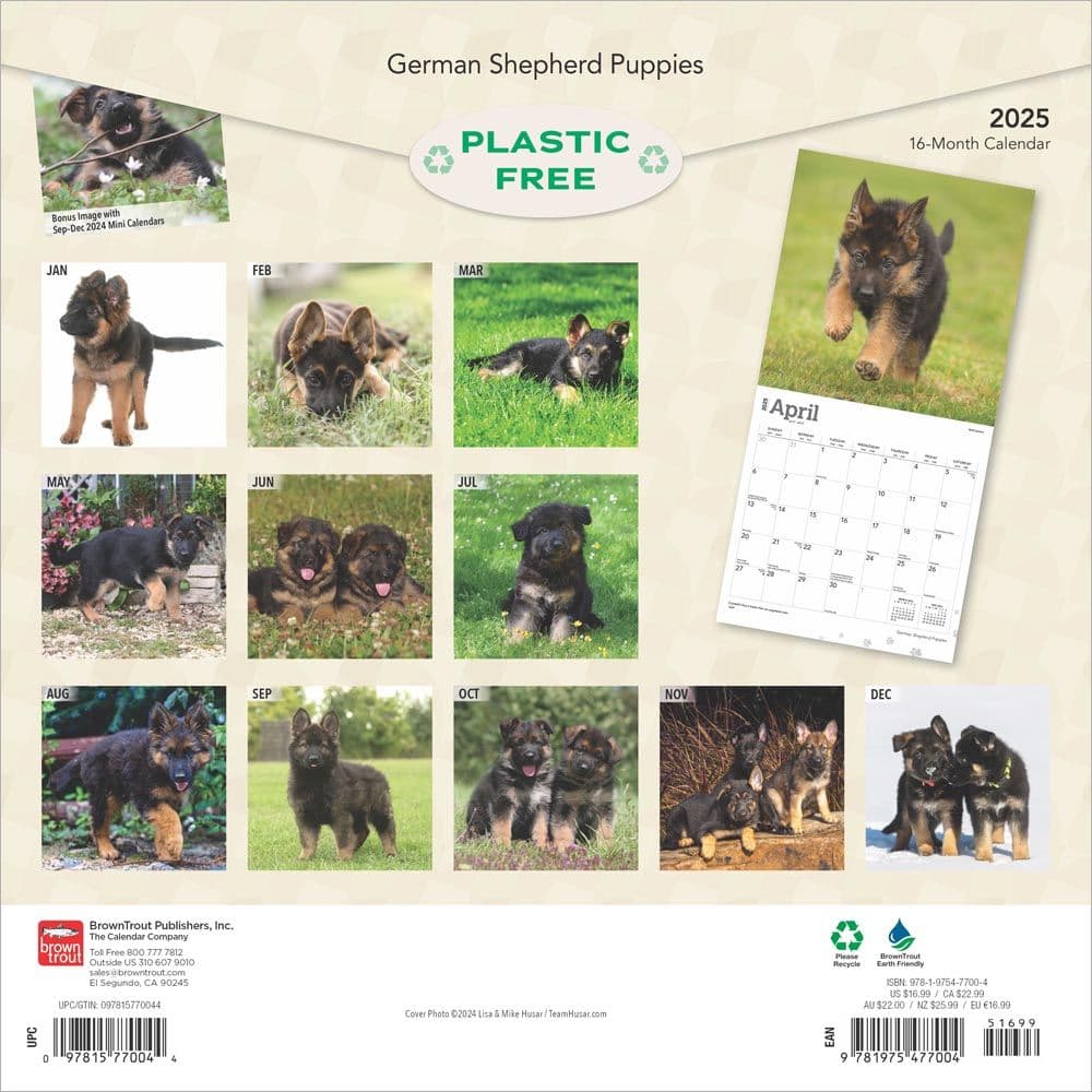 German Shepherd Puppies 2025 Wall Calendar First Alternate Image width=&quot;1000&quot; height=&quot;1000&quot;