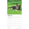 image German Shepherd Puppies 2025 Wall Calendar Second Alternate Image width=&quot;1000&quot; height=&quot;1000&quot;