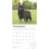 image German Shepherd Puppies 2025 Wall Calendar Third Alternate Image width=&quot;1000&quot; height=&quot;1000&quot;