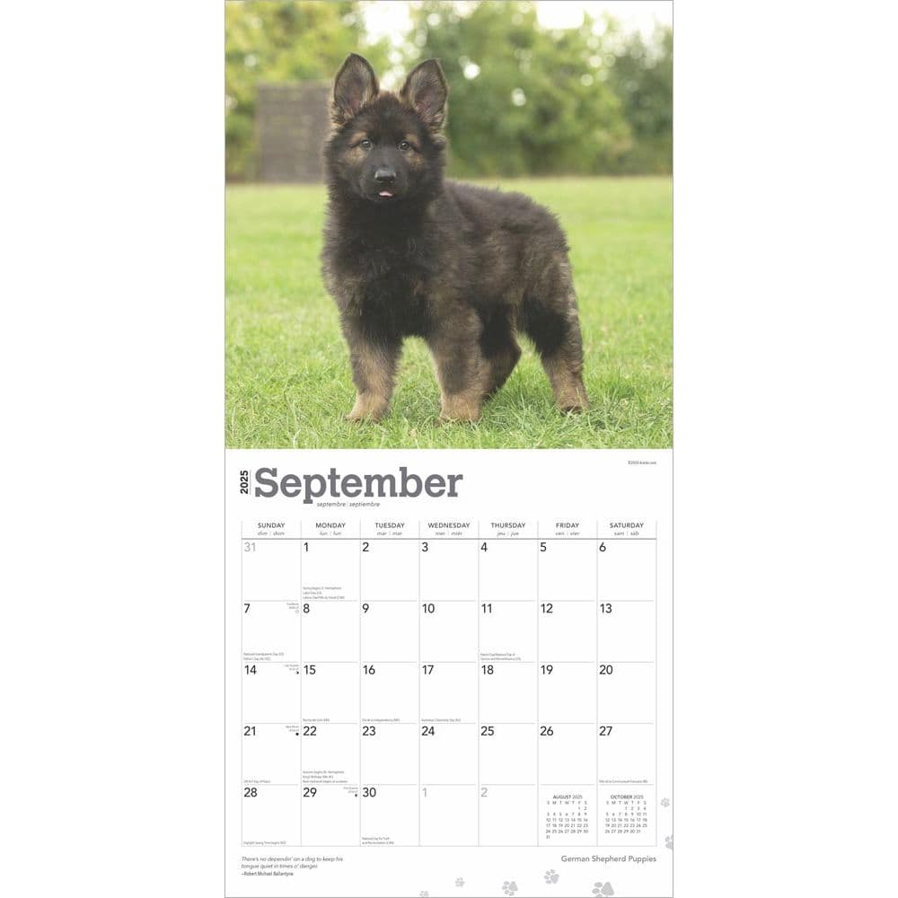 German Shepherd Puppies 2025 Wall Calendar Third Alternate Image width=&quot;1000&quot; height=&quot;1000&quot;