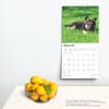 image German Shepherd Puppies 2025 Wall Calendar Fourth Alternate Image width=&quot;1000&quot; height=&quot;1000&quot;