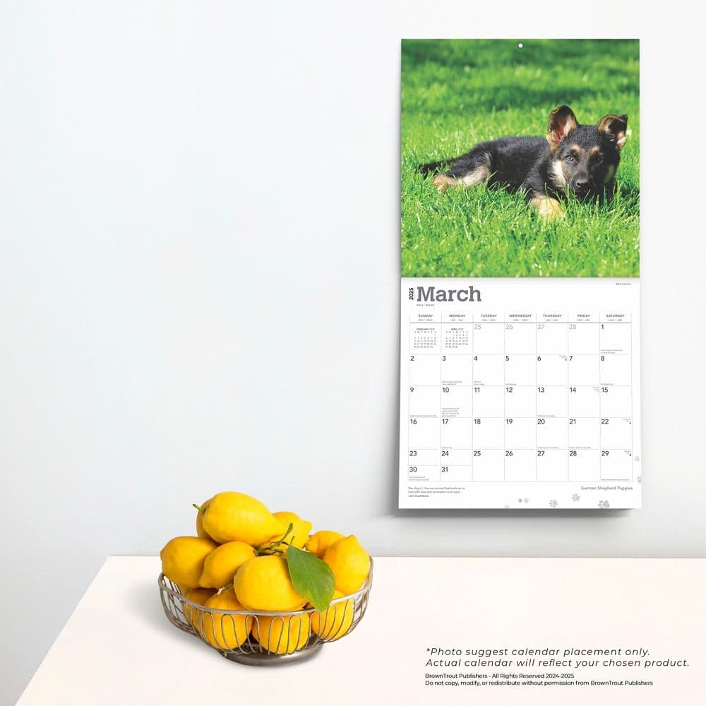 German Shepherd Puppies 2025 Wall Calendar Fourth Alternate Image width=&quot;1000&quot; height=&quot;1000&quot;