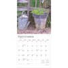 image Country Gardens 2025 Wall Calendar Third Alternate Image width=&quot;1000&quot; height=&quot;1000&quot;