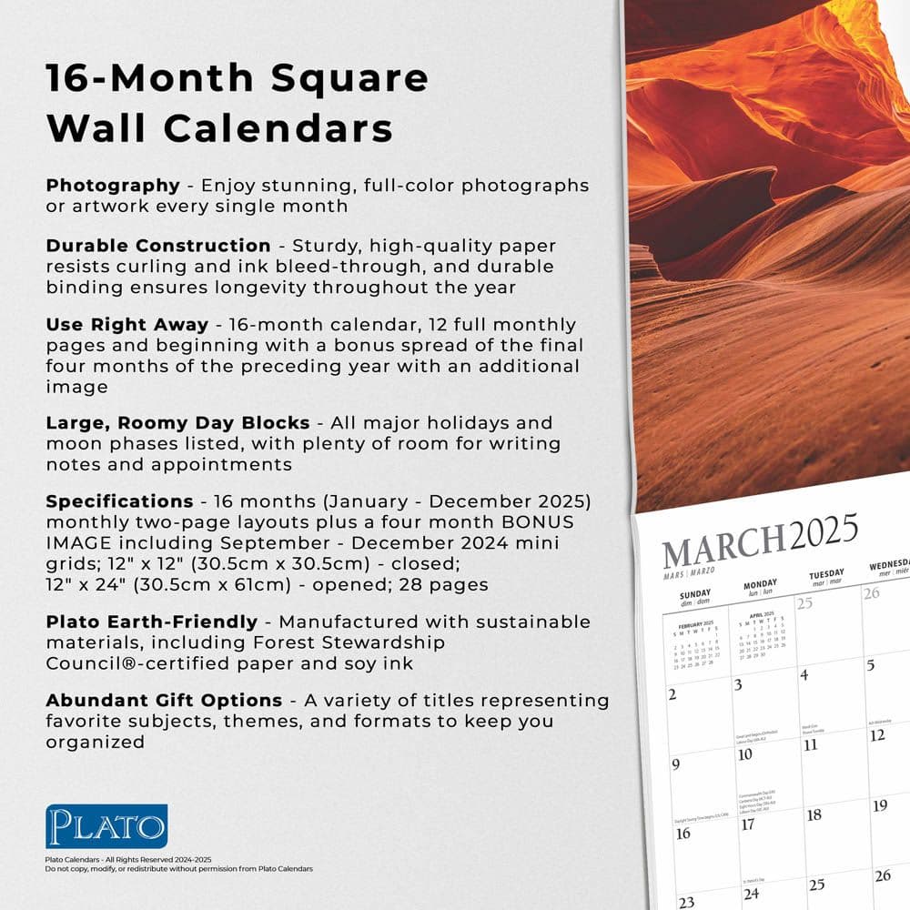 Psalms Plato 2025 Wall Calendar Fifth Alternate Image width=&quot;1000&quot; height=&quot;1000&quot;