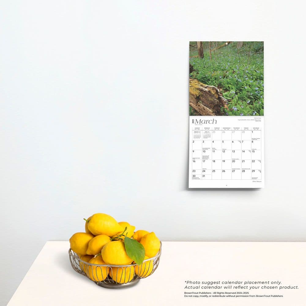 Ohio 2025 Mini Wall Calendar Fourth Alternate Image width=&quot;1000&quot; height=&quot;1000&quot;