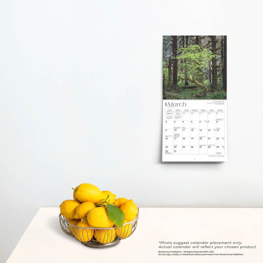 Washington 2025 Mini 2025 Wall Calendar Fourth Alternate Image width=&quot;1000&quot; height=&quot;1000&quot;