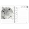 image Regal Cats Portrait Series 2025 Wall Calendar Second Alternate Image width=&quot;1000&quot; height=&quot;1000&quot;