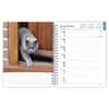 image Cat Lovers 2025 Planner Second Alternate Image width=&quot;1000&quot; height=&quot;1000&quot;