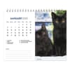 image Kittens 2025 Easel Desk Calendar Second Alternate Image width=&quot;1000&quot; height=&quot;1000&quot;