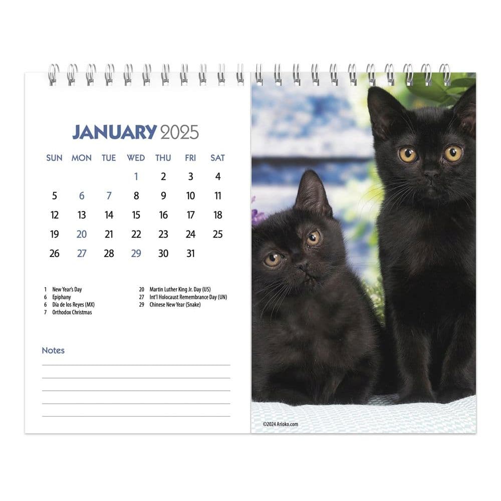 Kittens 2025 Easel Desk Calendar Second Alternate Image width=&quot;1000&quot; height=&quot;1000&quot;