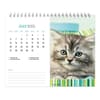 image Kittens 2025 Easel Desk Calendar Third Alternate Image width=&quot;1000&quot; height=&quot;1000&quot;