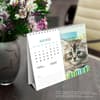 image Kittens 2025 Easel Desk Calendar Fourth Alternate Image width=&quot;1000&quot; height=&quot;1000&quot;