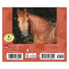 image Horse Lovers 2025 Desk Calendar First Alternate Image width=&quot;1000&quot; height=&quot;1000&quot;