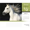 image Horse Lovers 2025 Desk Calendar Second Alternate Image width=&quot;1000&quot; height=&quot;1000&quot;