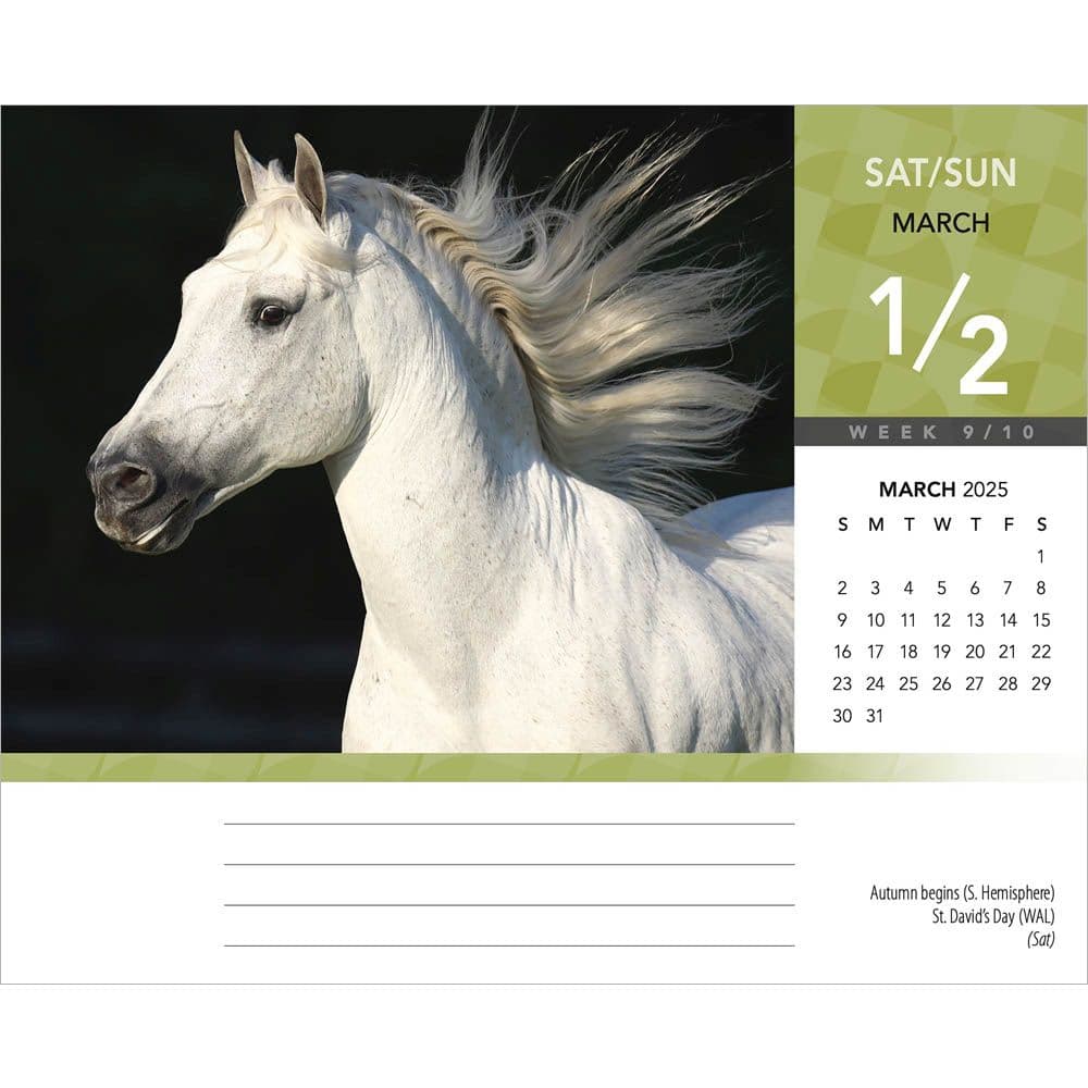 Horse Lovers 2025 Desk Calendar Second Alternate Image width=&quot;1000&quot; height=&quot;1000&quot;